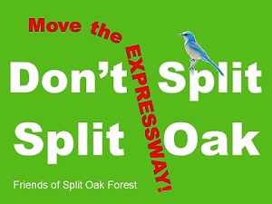 Don't Split Split Oak!